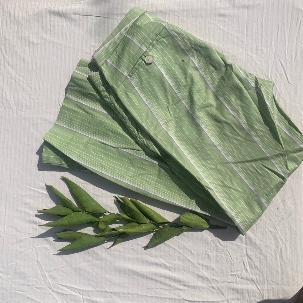 The limited slacks green and lavender